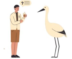 結婚相談所クレイン ライフ サポートで始める婚活のメリット