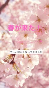 🌸【4月限定】春の婚活スタートキャンペーン開催